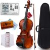 Aileen PREMIUM BEGINNER Series Violin Outfit - 4/4 Full Size Solid Wood Ebony Fitted for Kids Students;  Teachers Approved